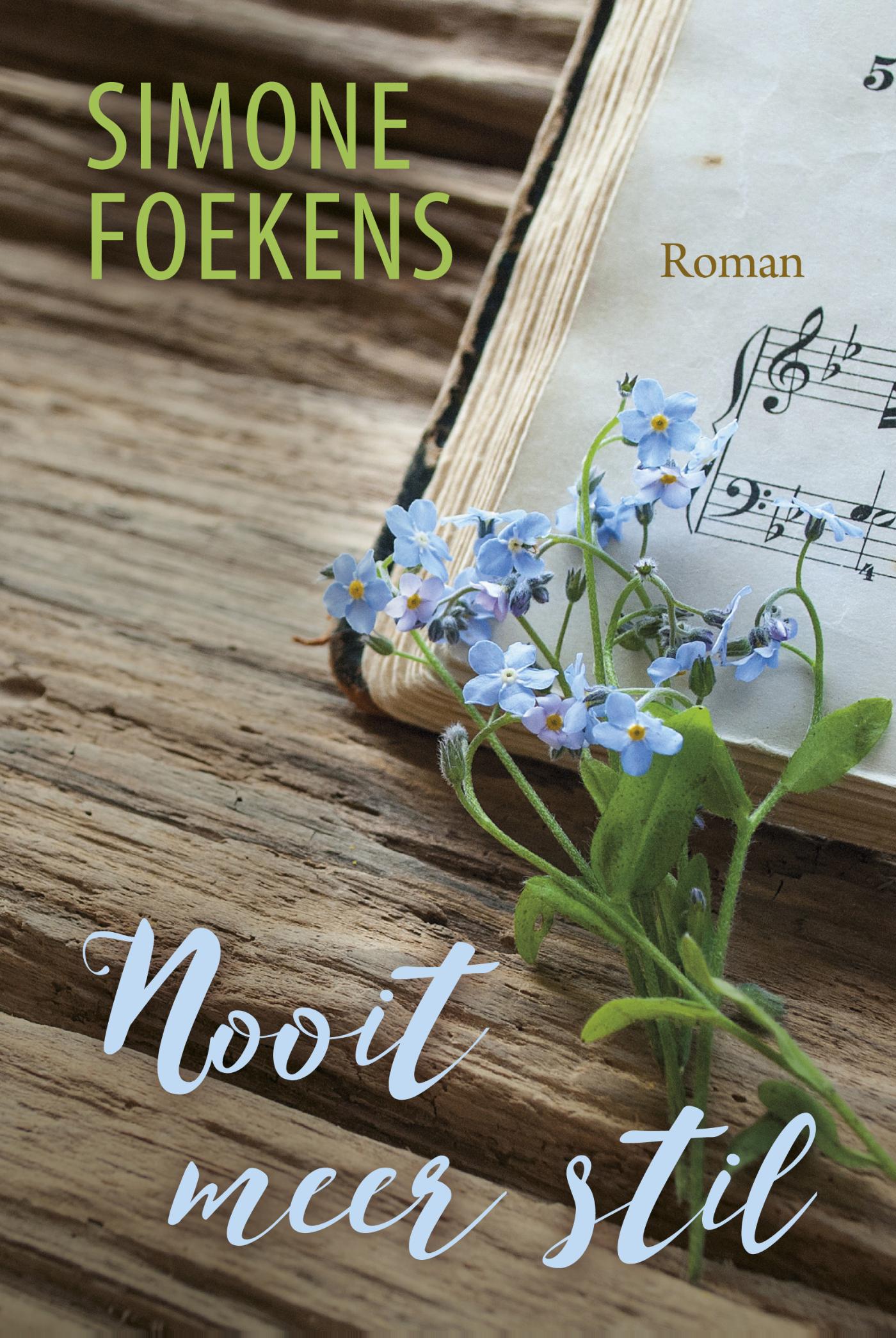 Omslag van Nooit meer stil