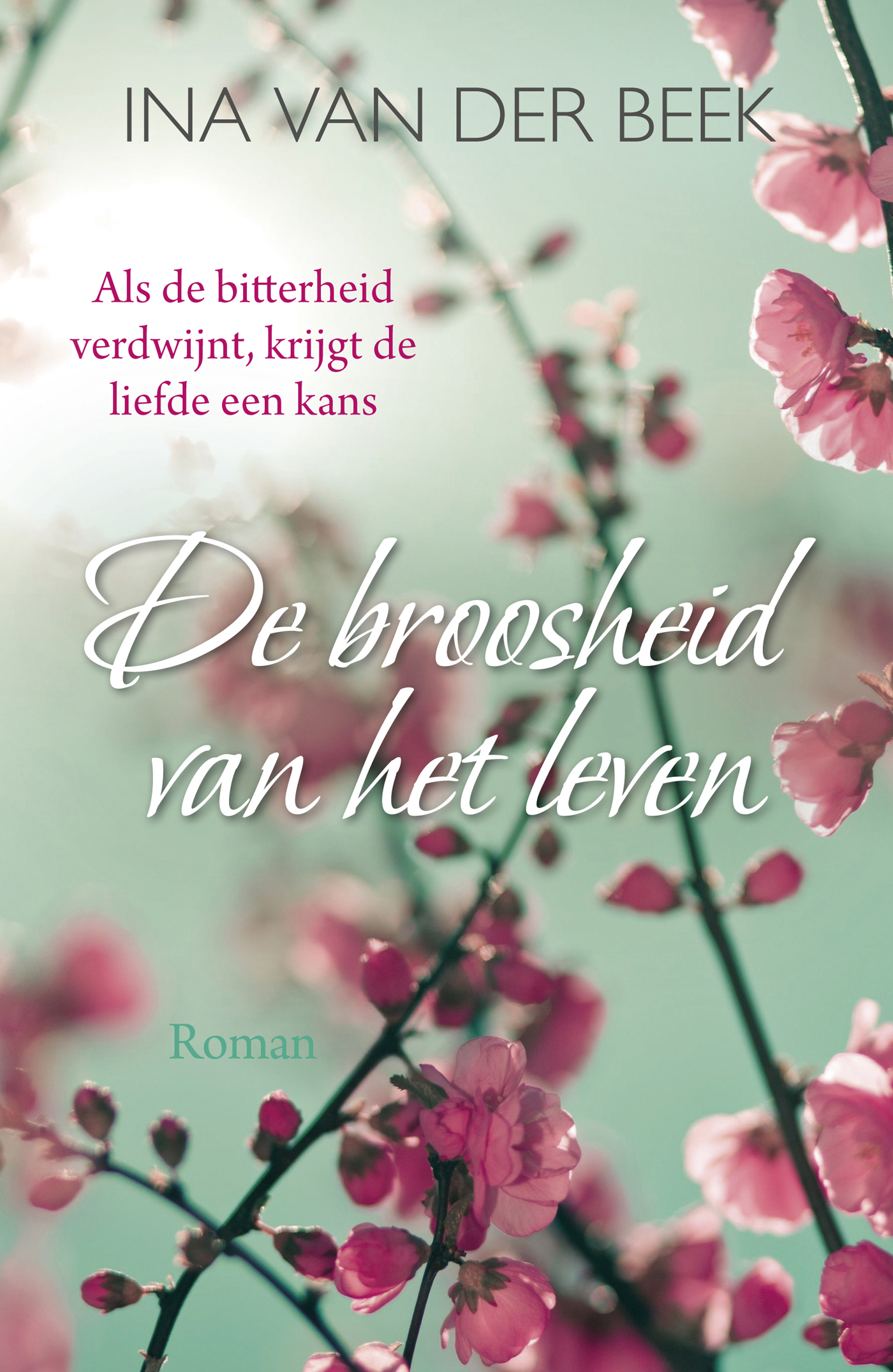 Omslag van De broosheid van het leven