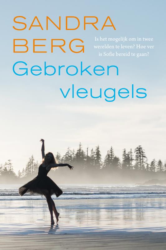 Omslag van Gebroken vleugels