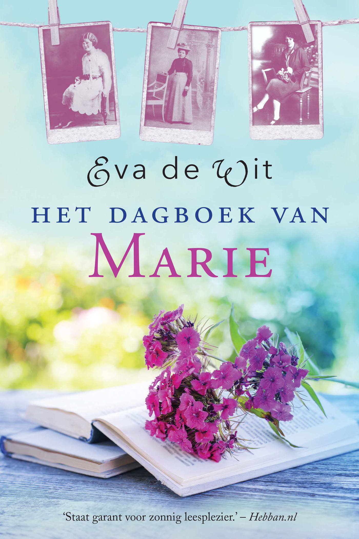 Omslag van Het dagboek van Marie