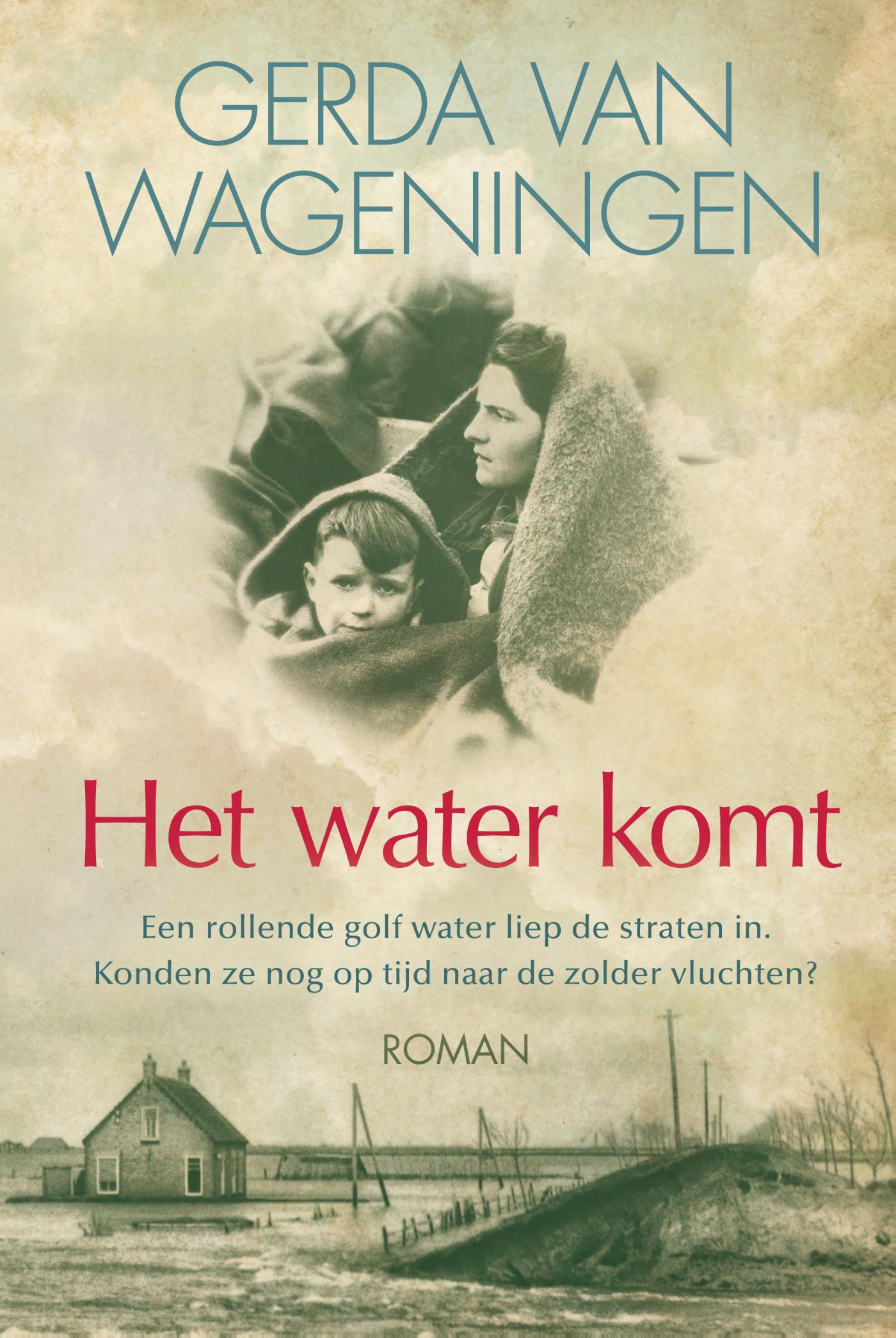 Omslag van Het water komt