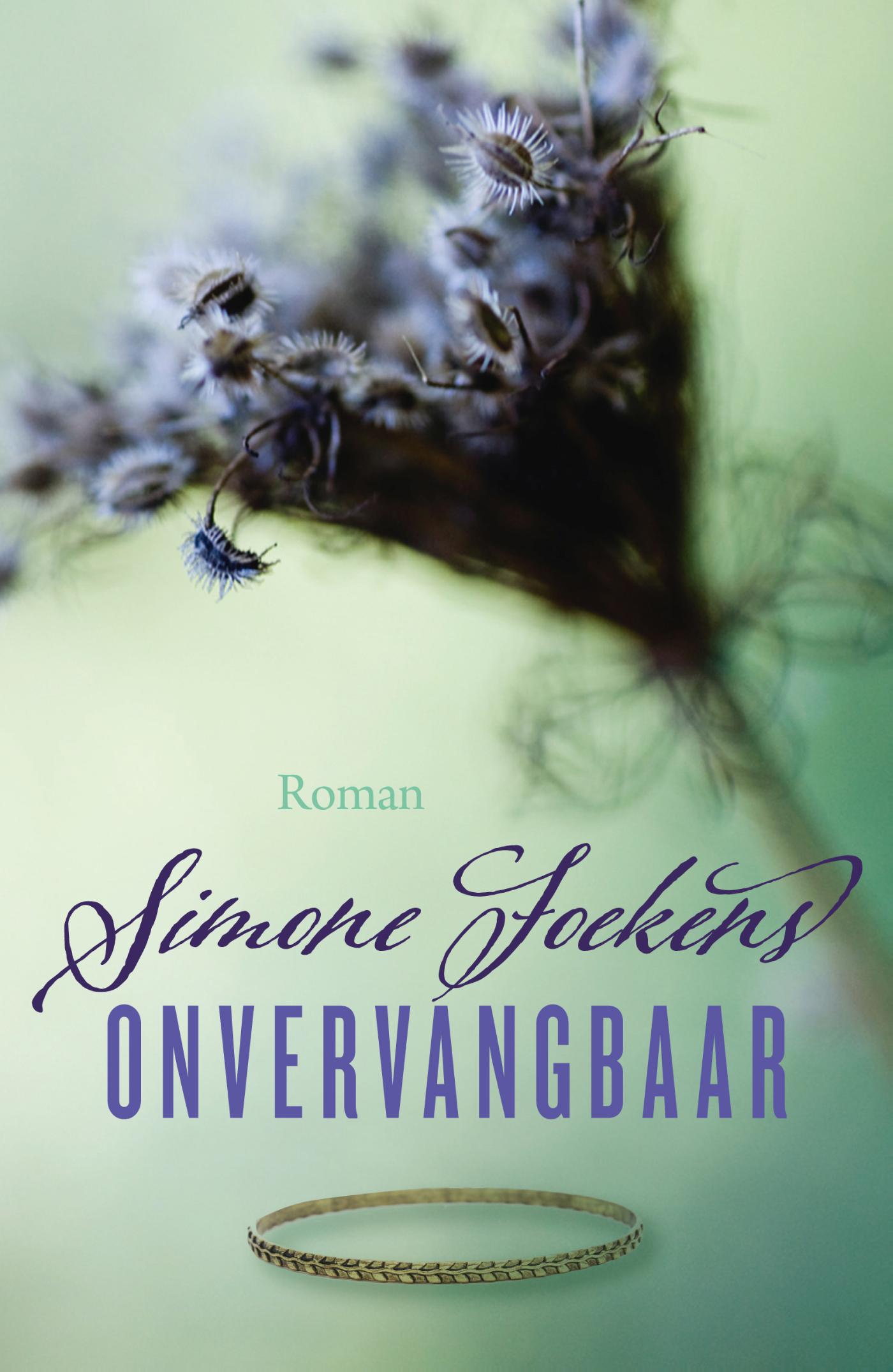 Omslag van Onvervangbaar