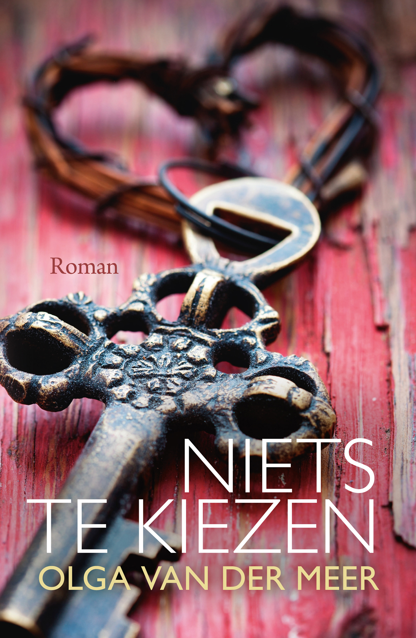 Omslag van Niets te kiezen