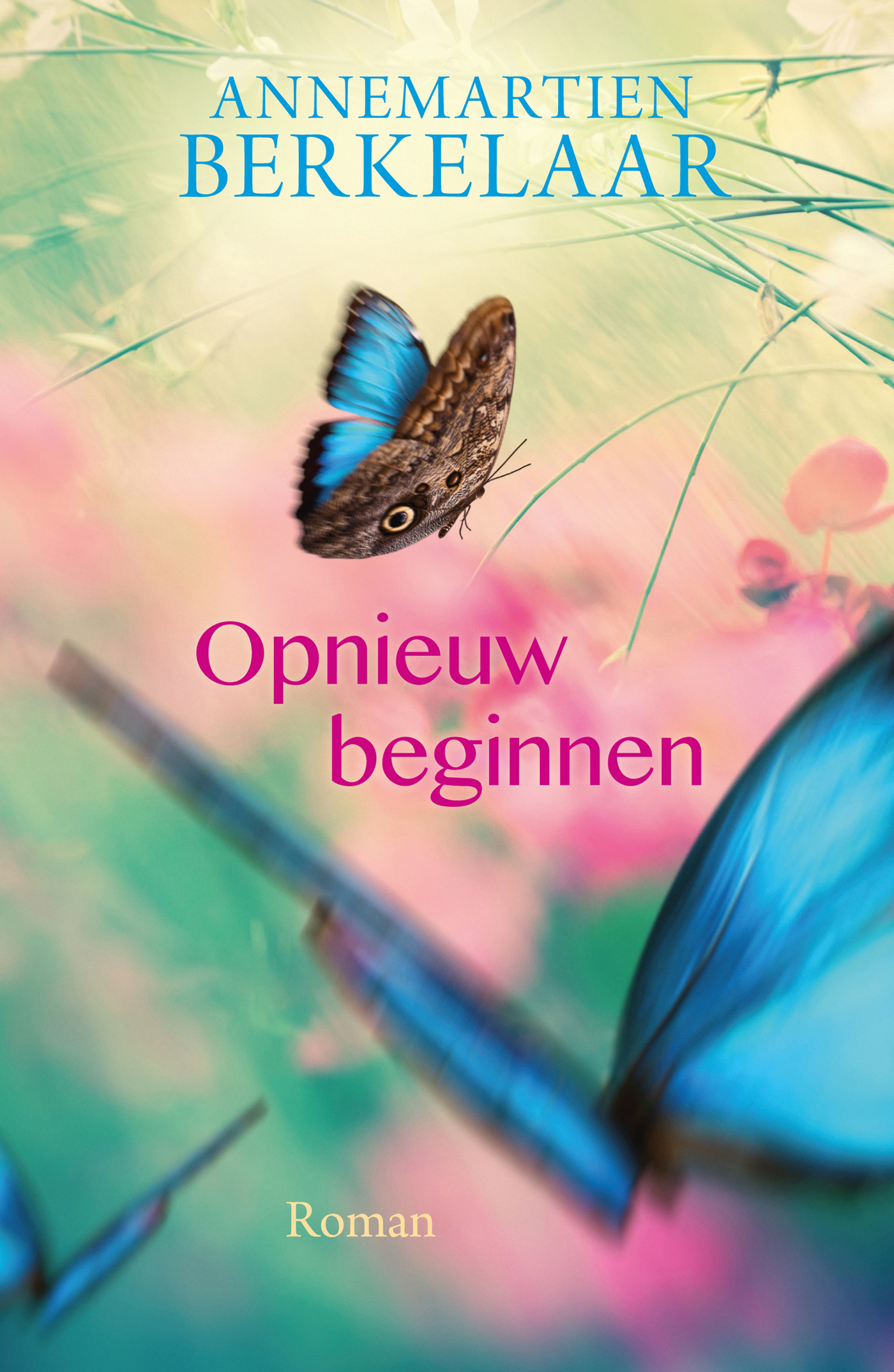 Omslag van Opnieuw beginnen