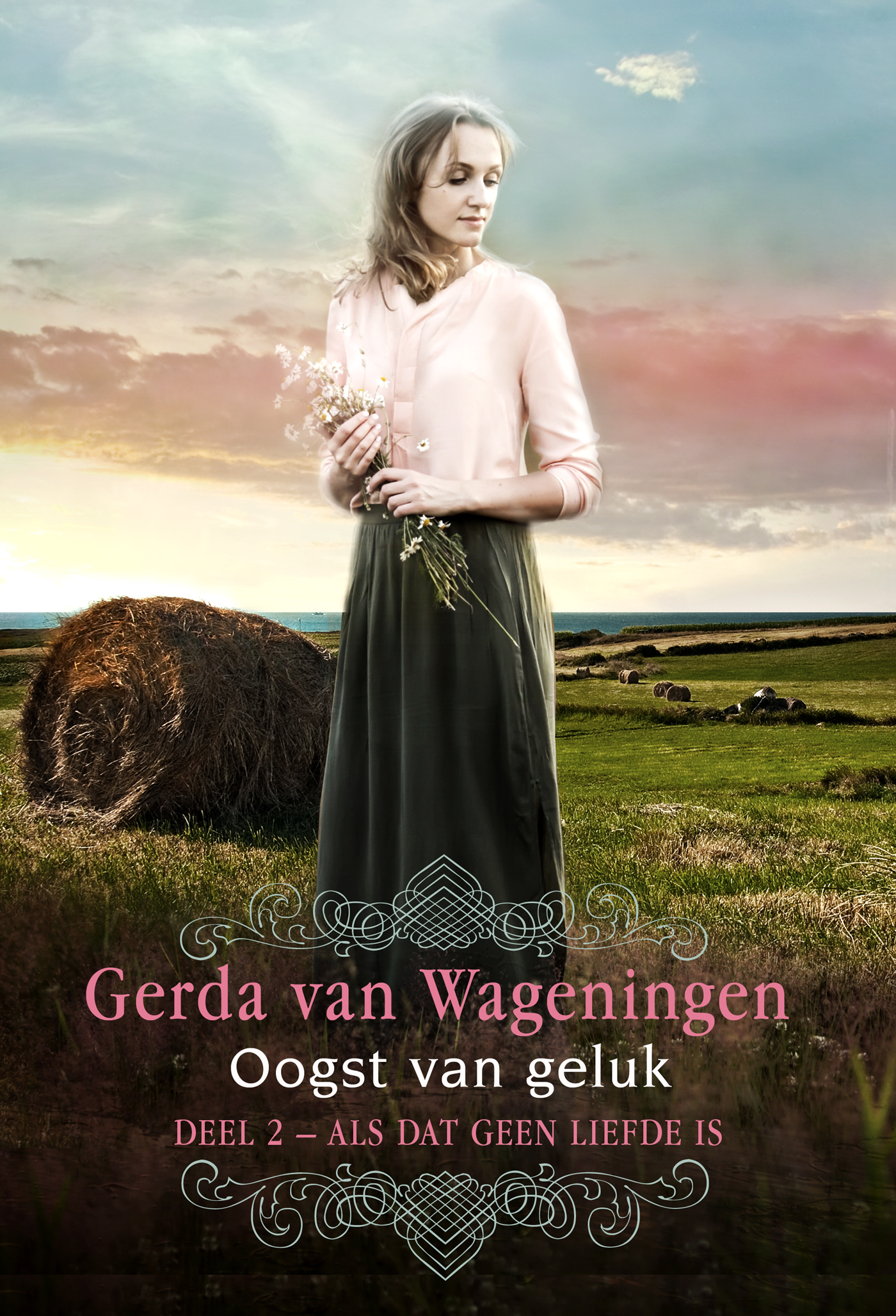 Omslag van Oogst van geluk