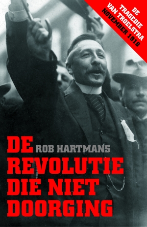 Omslag van De revolutie die niet doorging