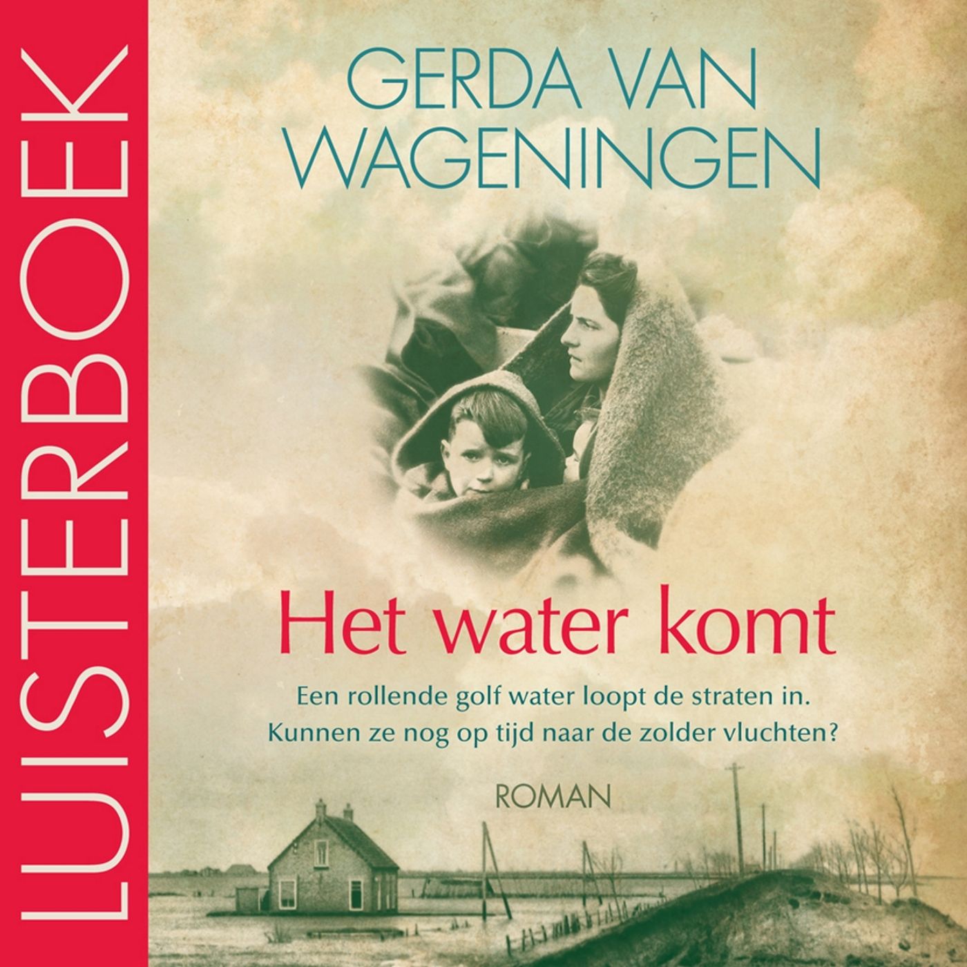 Omslag van Het water komt