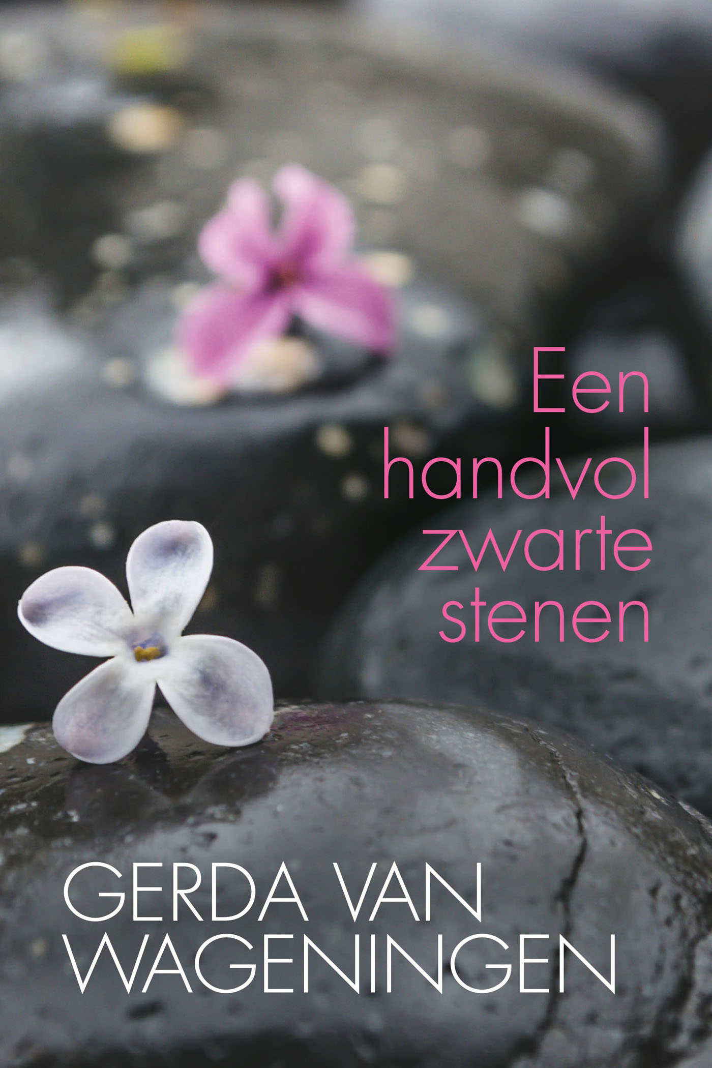 Omslag van Een handvol zwarte stenen