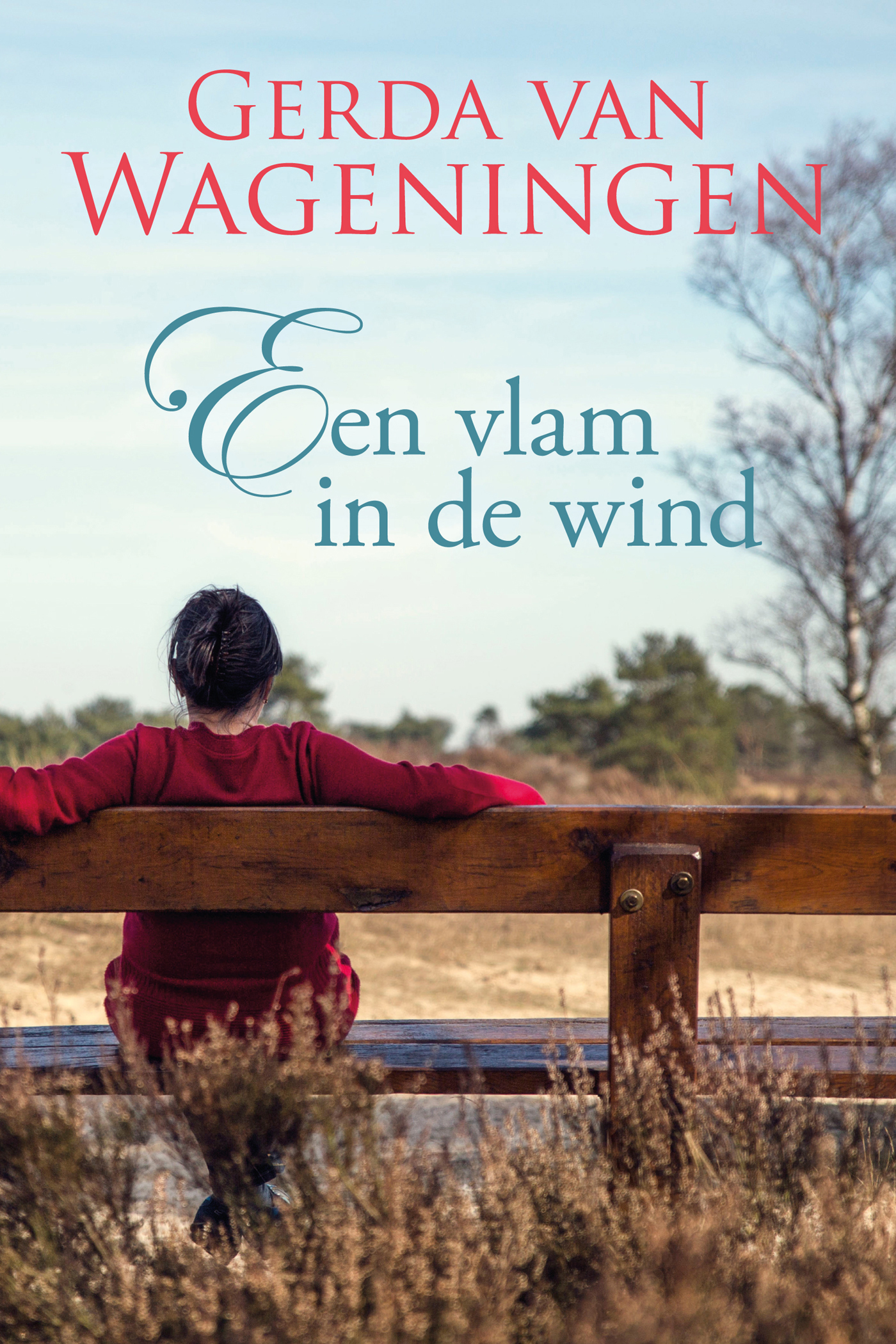Omslag van Een vlam in de wind