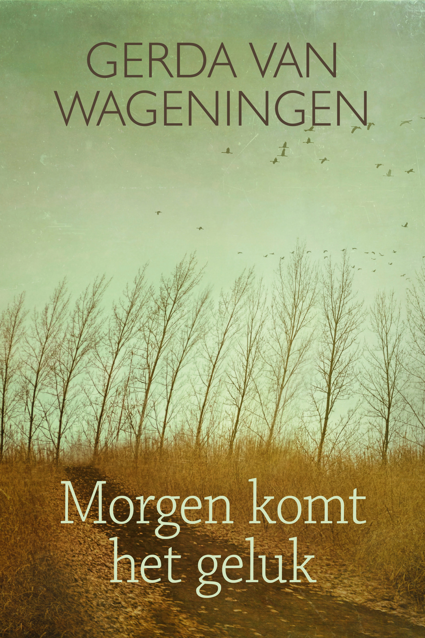 Omslag van Morgen komt het geluk
