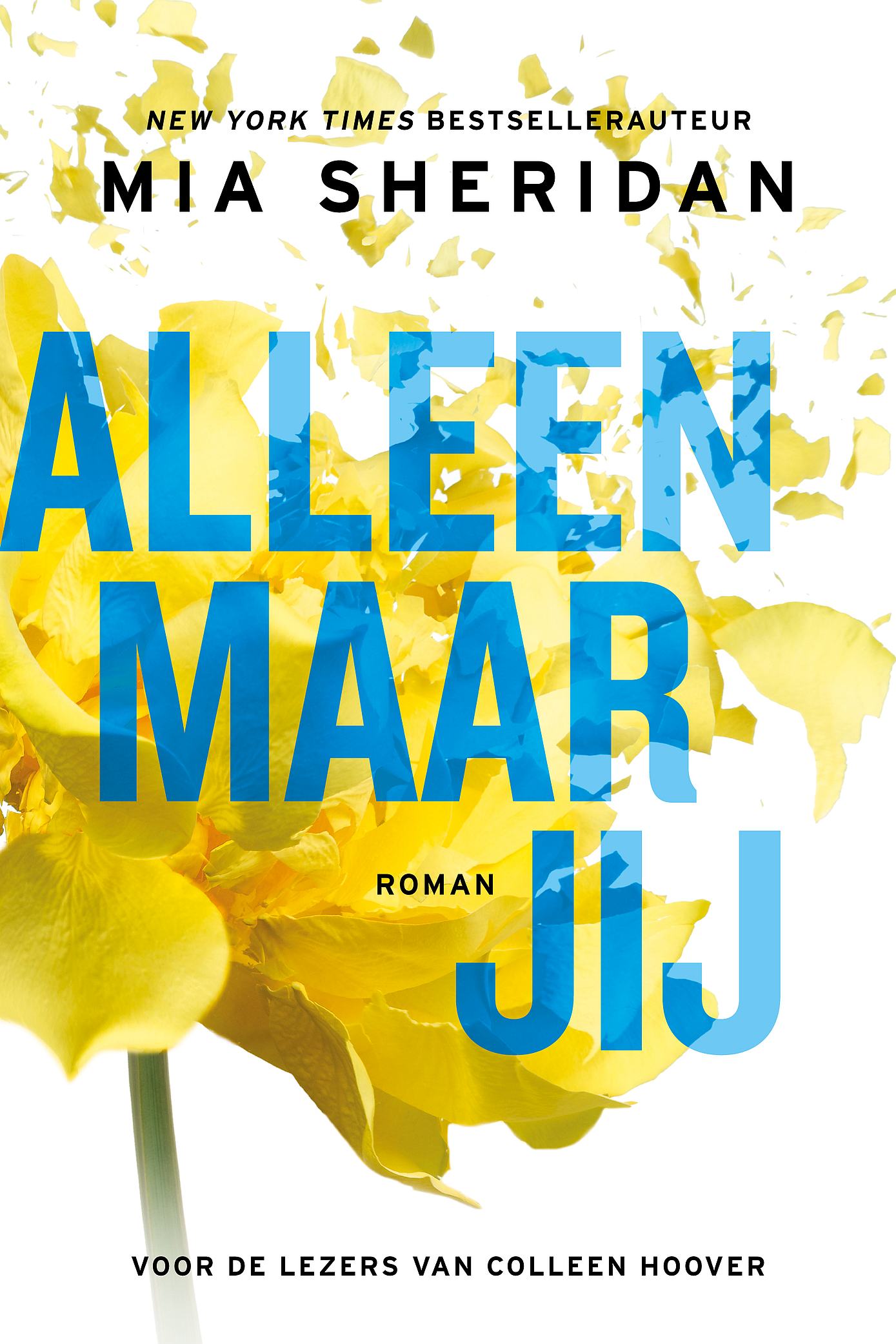 Omslag van Alleen maar jij