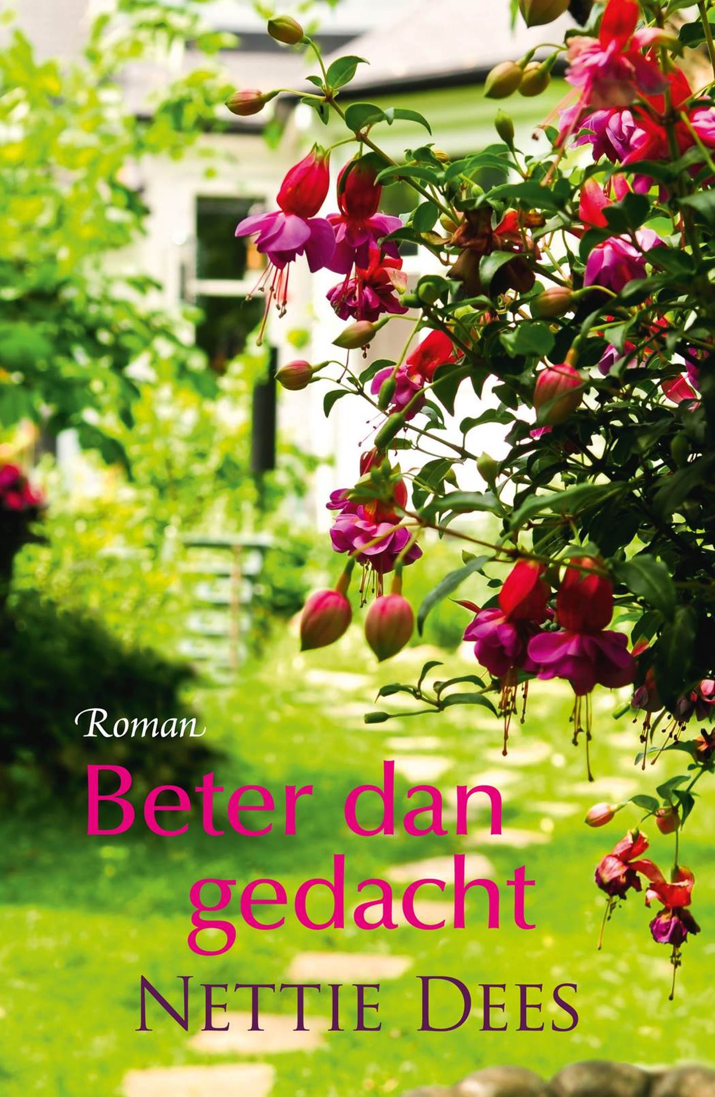 Omslag van Beter dan gedacht