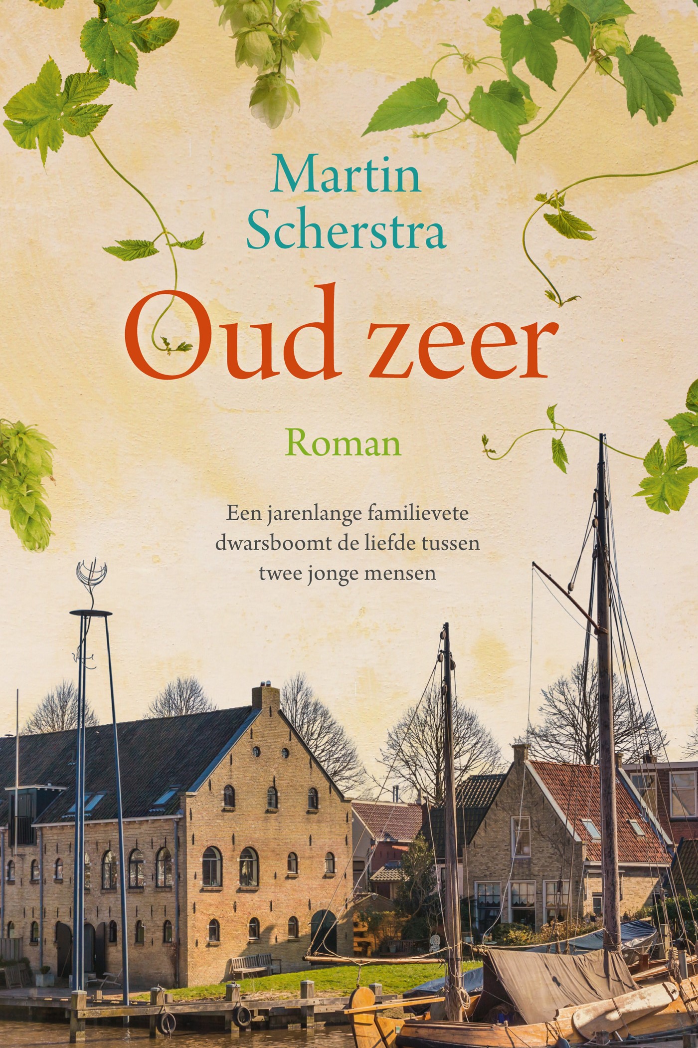 Omslag van Oud zeer