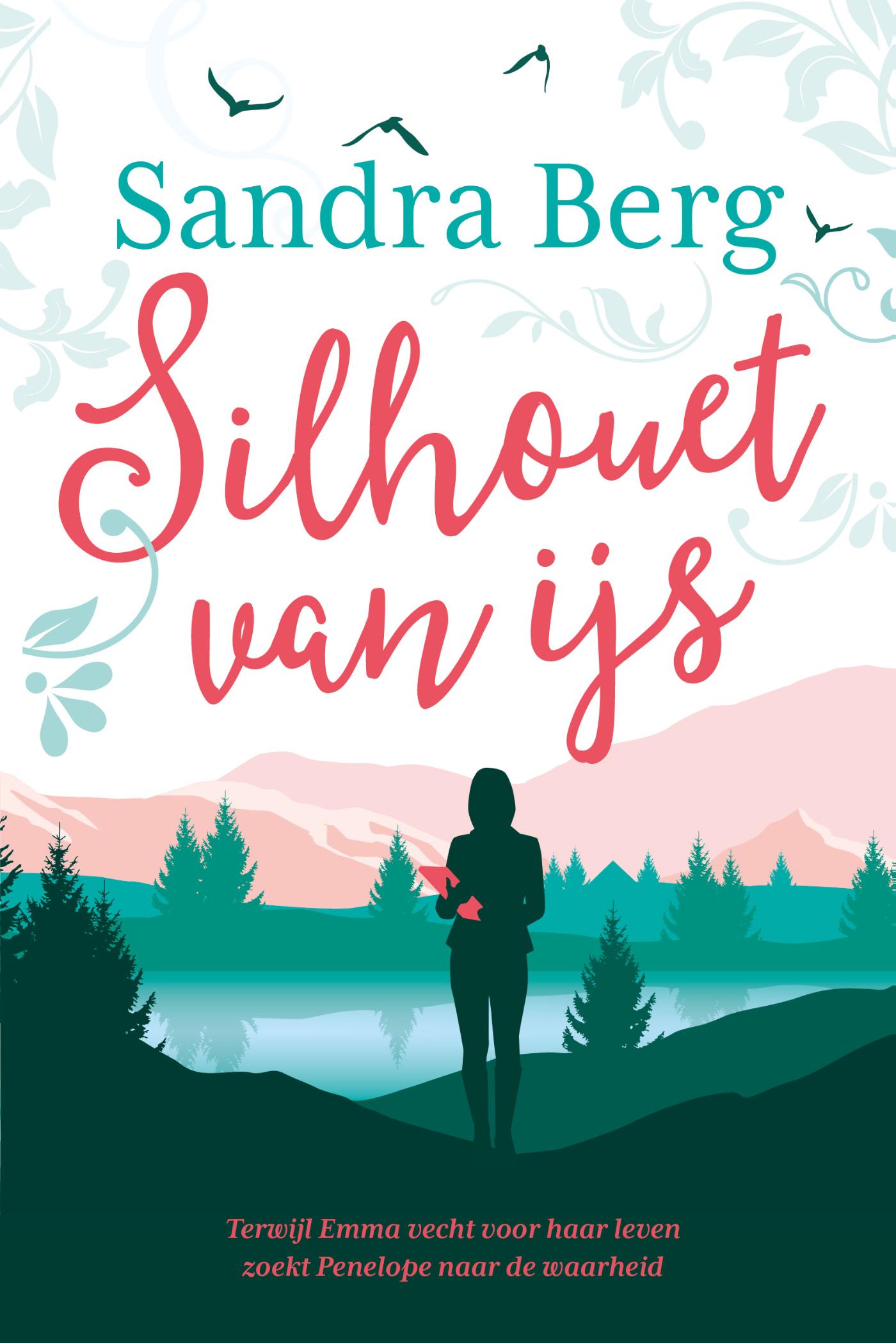 Omslag van Silhouet van ijs