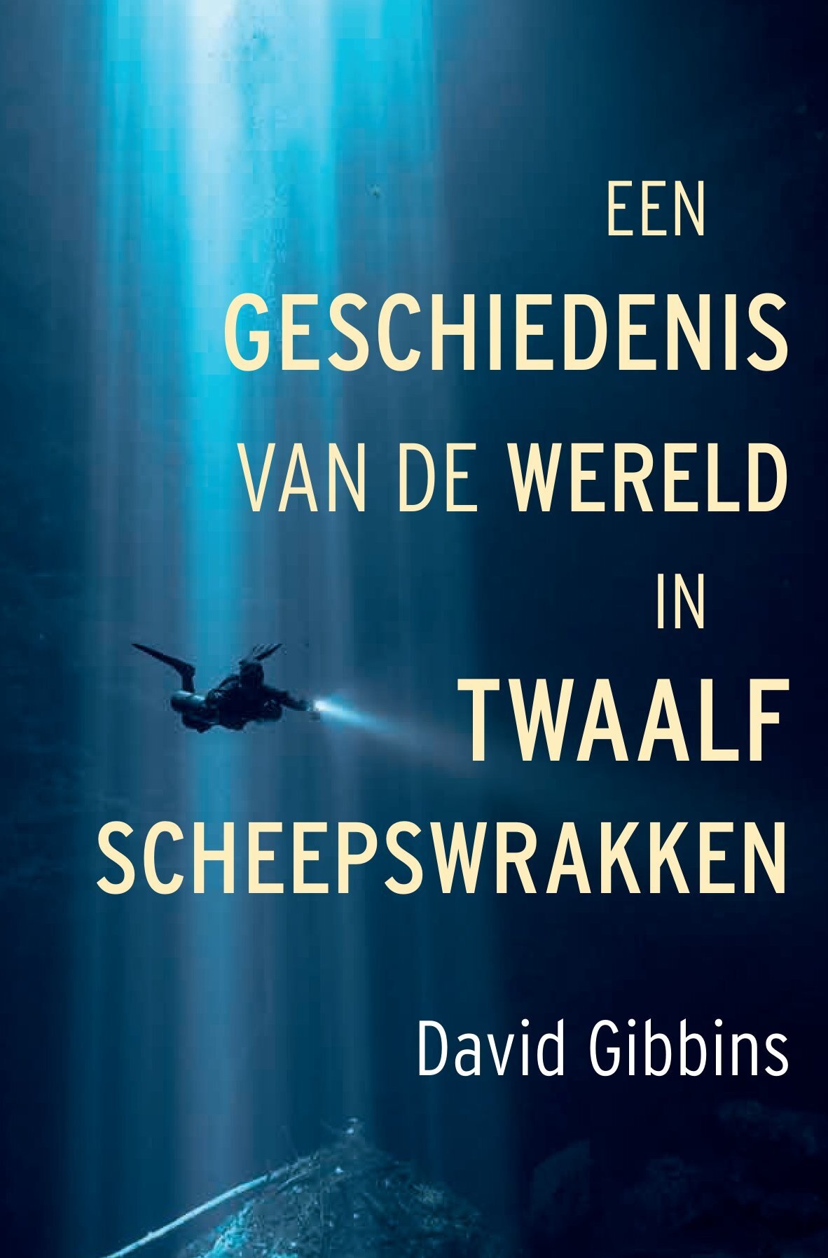 Omslag van Een geschiedenis van de wereld in twaalf scheepswrakken