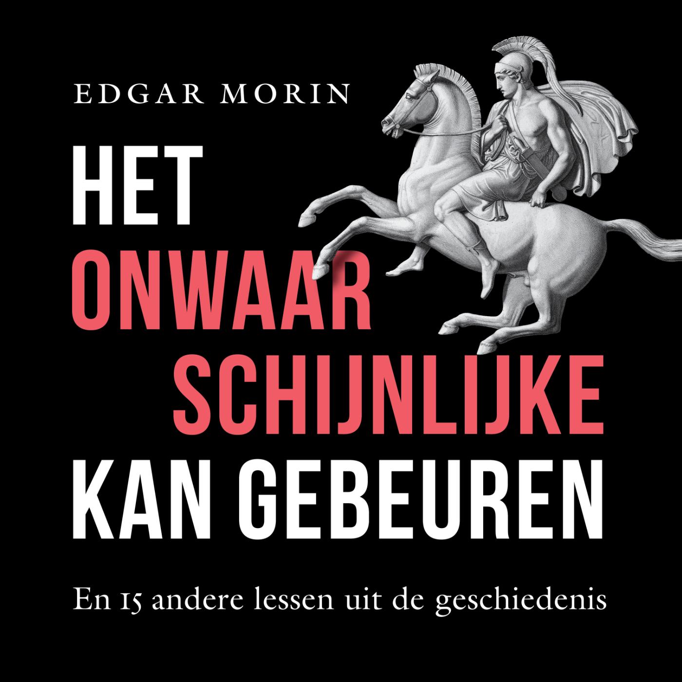 Omslag van Het onwaarschijnlijke kan gebeuren