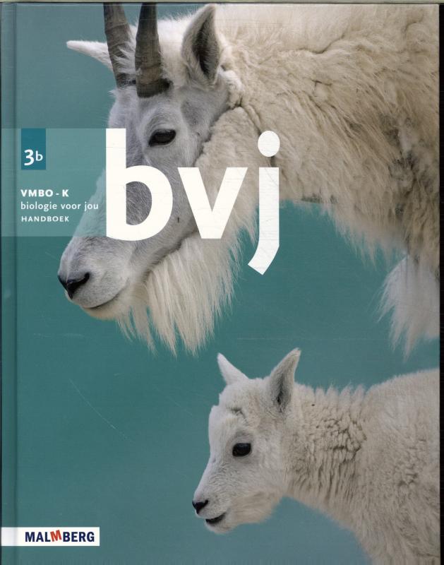 Omslag van Handboek B