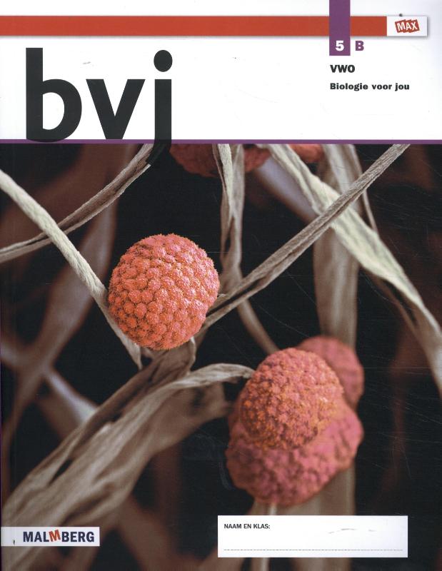 Omslag van lob B