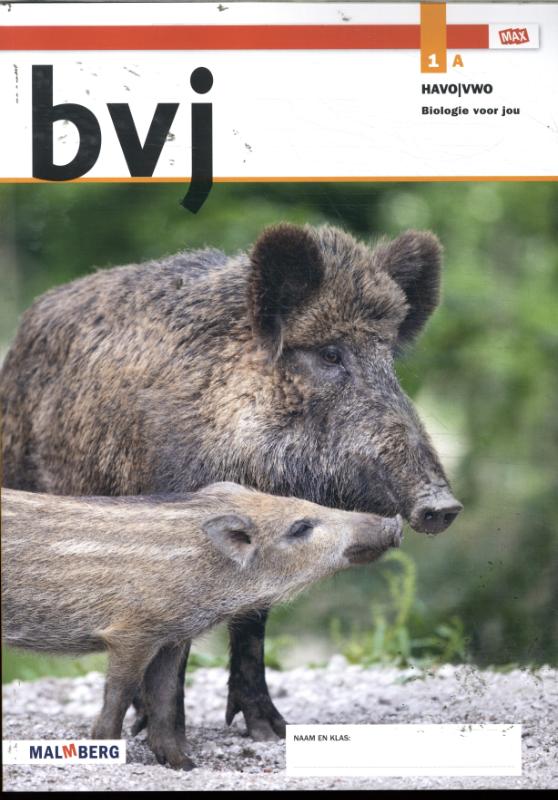 Omslag van Leeropdrachtenboek A