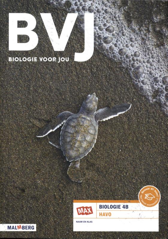 Omslag van 4B havo