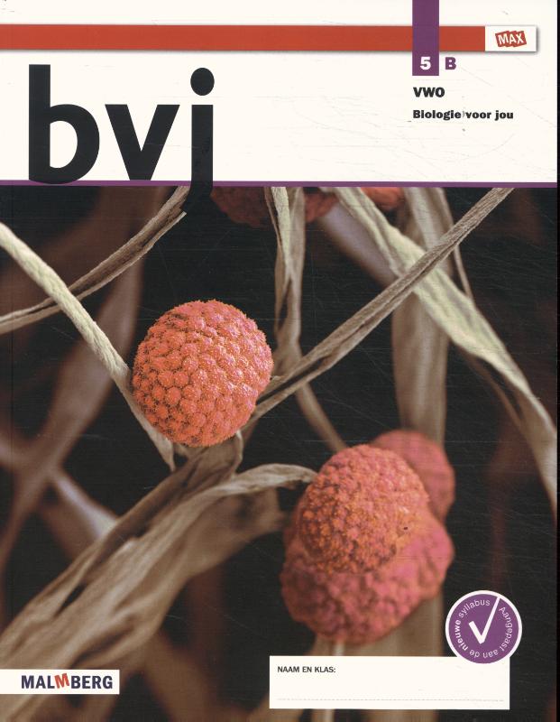 Omslag van Leeropdrachtenboek B