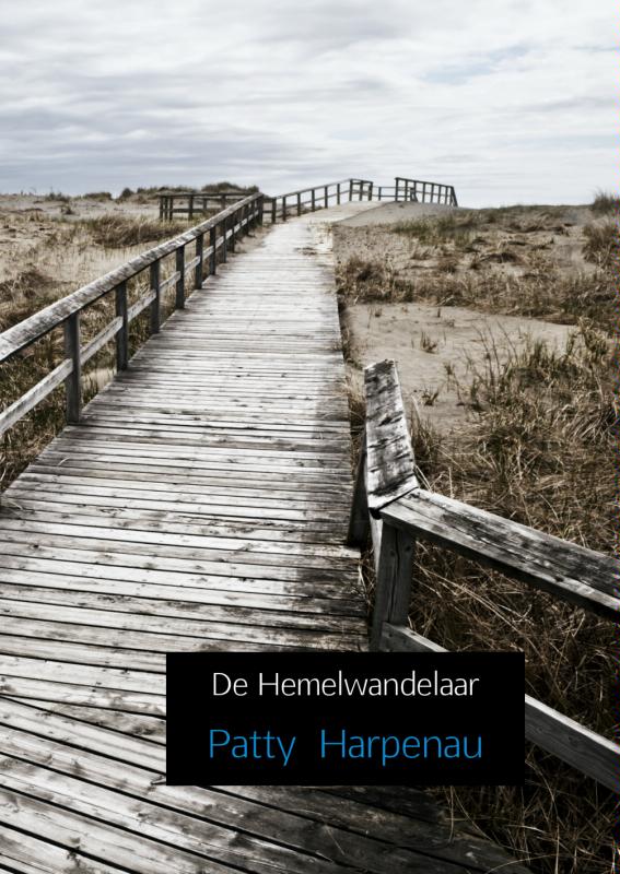 Omslag van De hemelwandelaar