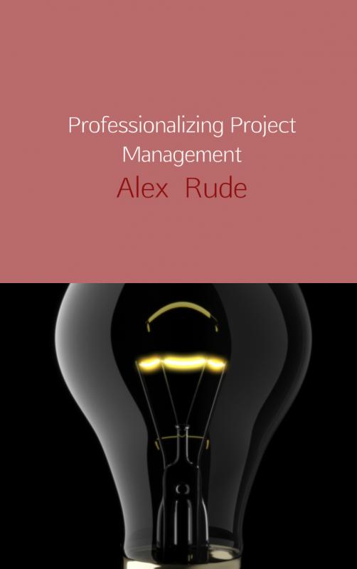 Omslag van Professionalizing project management