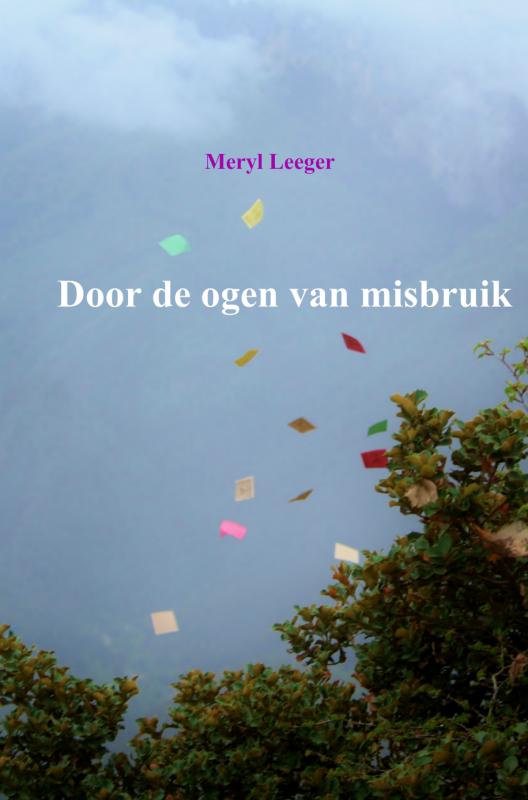 Omslag van Door de ogen van misbruik