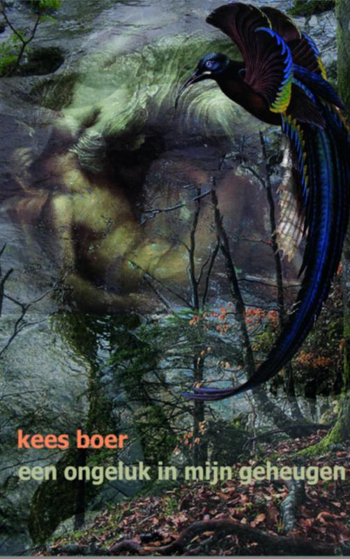 Omslag van Een ongeluk in mijn geheugen
