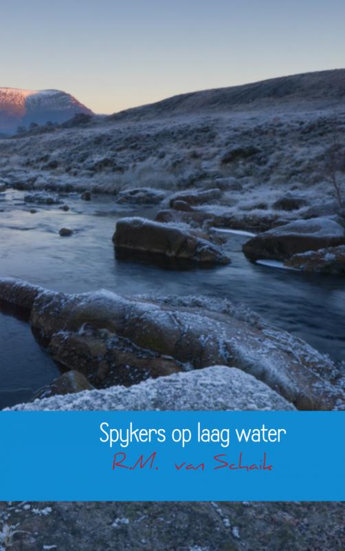 Omslag van Spykers op laag water