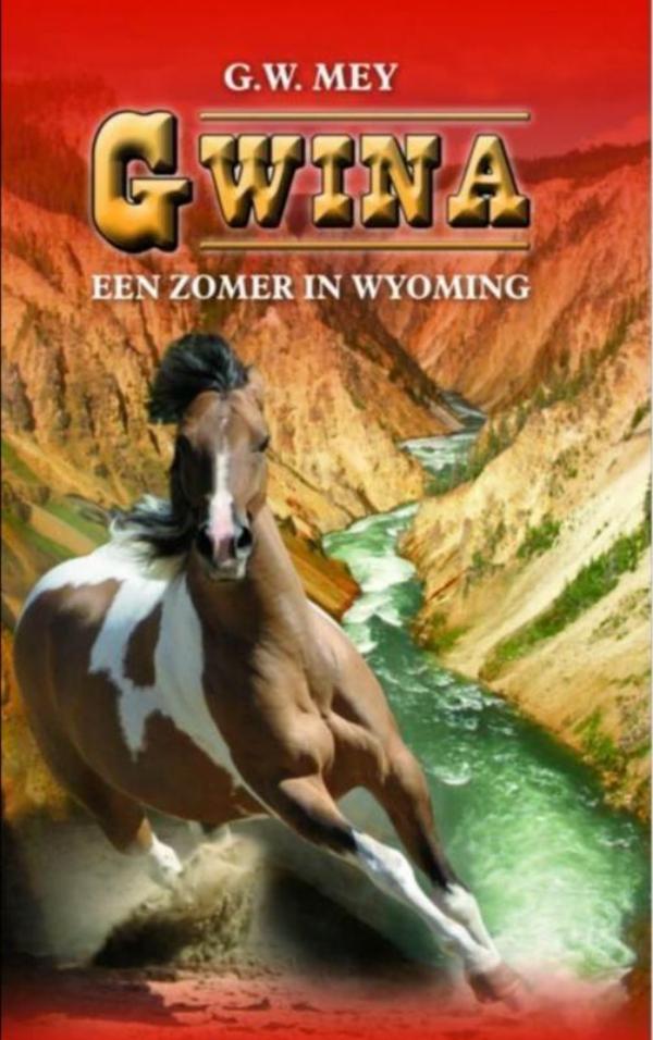 Omslag van Gwina