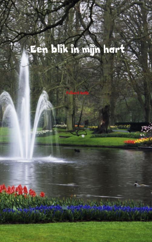 Omslag van Een blik in mijn hart