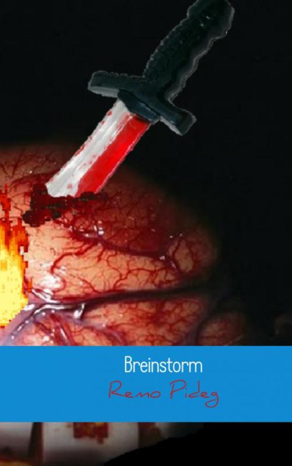 Omslag van Breinstorm