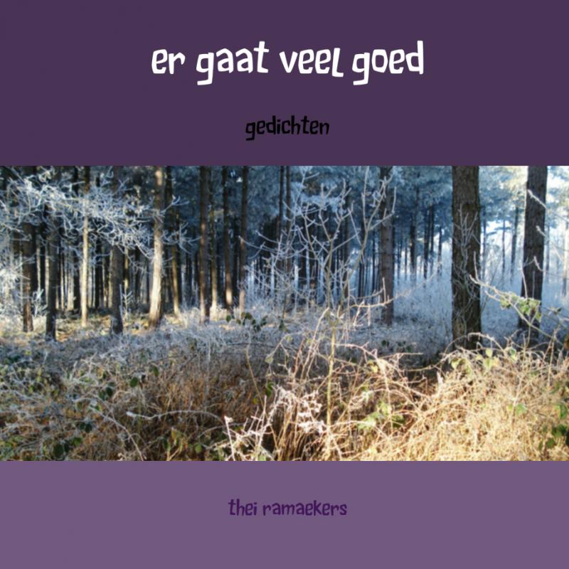 Omslag van er gaat veel goed
