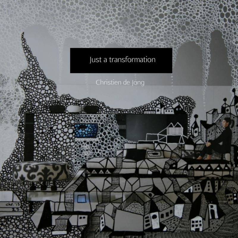 Omslag van Just a transformation