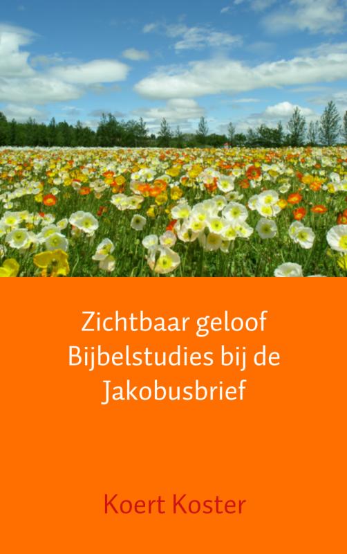 Omslag van Zichtbaar geloof Bijbelstudies bij de Jakobusbrief