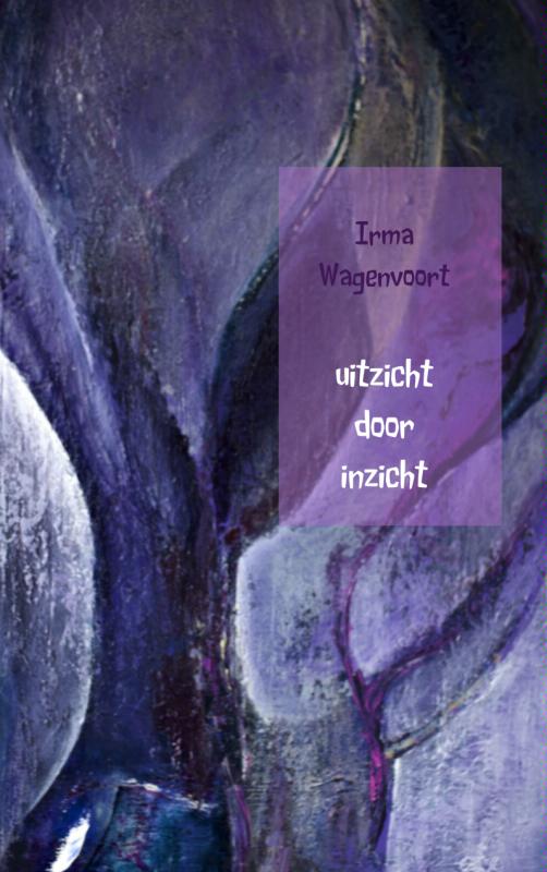 Omslag van Uitzicht door inzicht