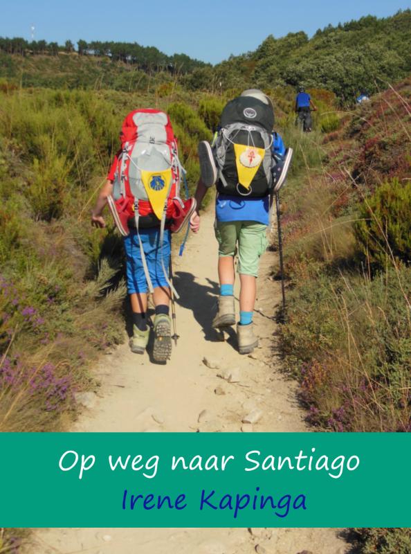 Omslag van Op weg naar Santiago