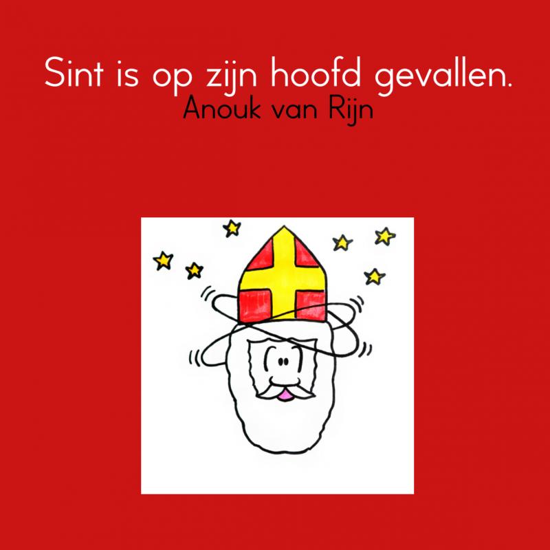 Omslag van Sint is op zijn hoofd gevallen