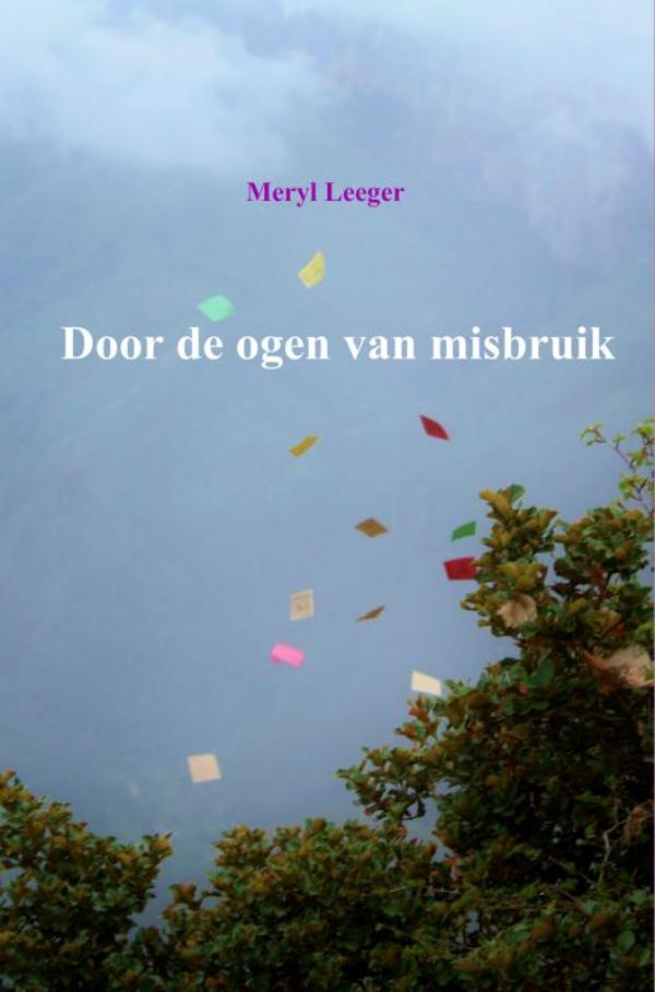 Omslag van Door de ogen van misbruik