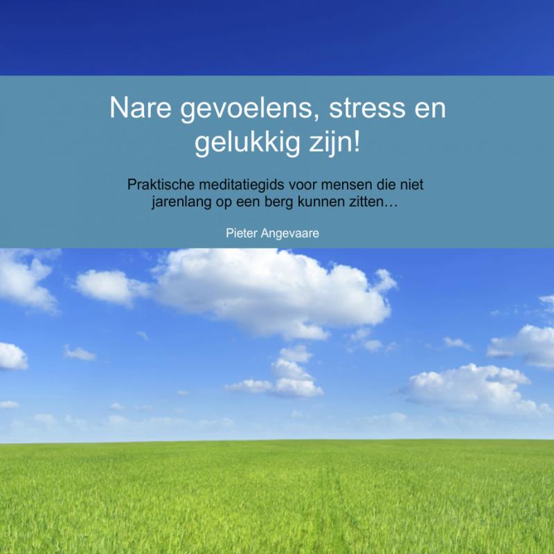 Omslag van Nare gevoelens, stress en gelukkig zijn!