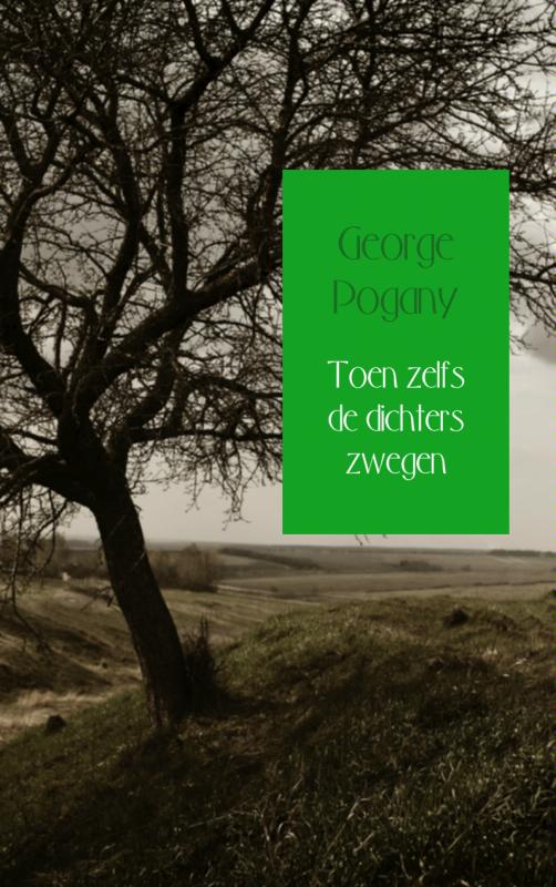 Omslag van Toen zelfs de dichters zwegen