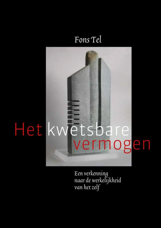 Omslag van Het kwetsbare vermogen