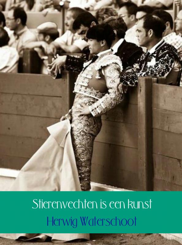 Omslag van Stierenvechten is een kunst