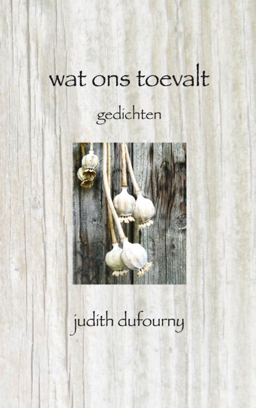 Omslag van Wat ons toevalt