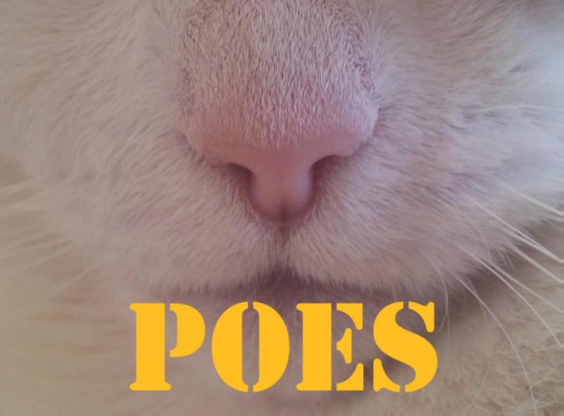 Omslag van Poes