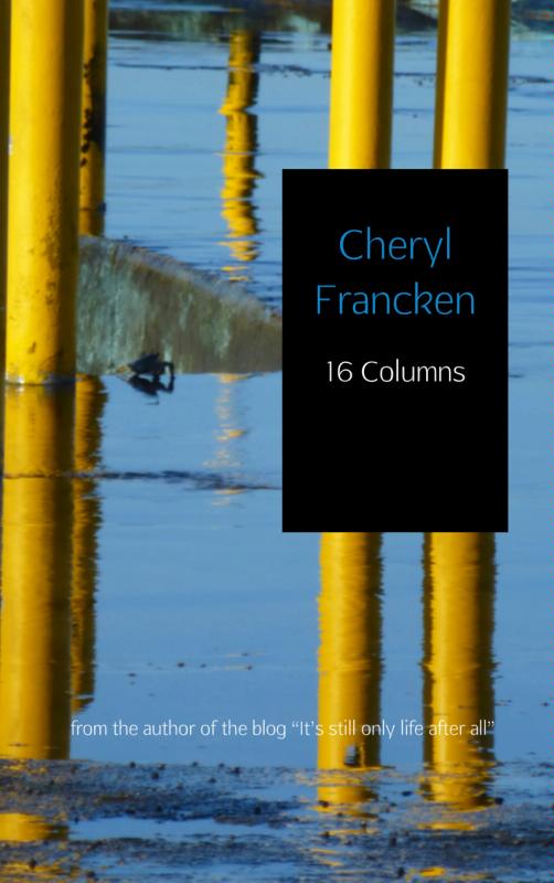 Omslag van 16 Columns