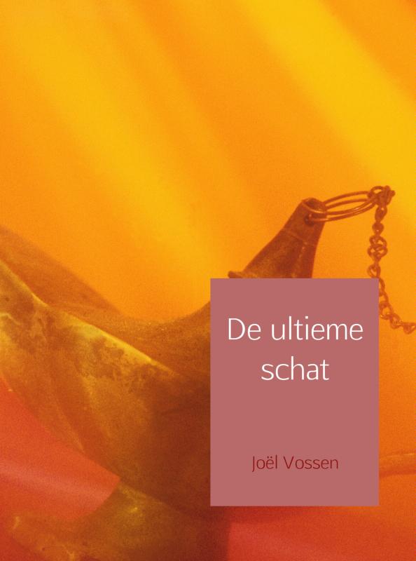 Omslag van De ultieme schat