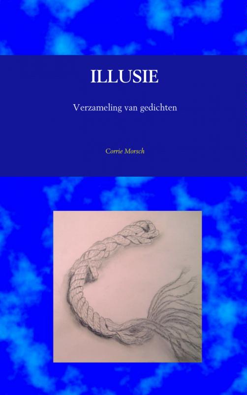 Omslag van Illusie