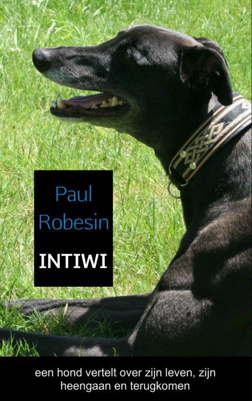Omslag van INTIWI
